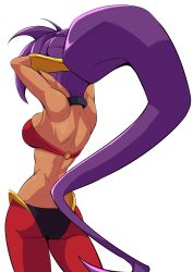 1girls arabian_clothes ass back back_view bmkro bra bracers breasts choker cleavage dark-skinned_female from_behind genie harem_outfit harem_pants head_out_of_frame highres large_breasts long_hair o-ring o-ring_top pointy_ears ponytail purple_hair shantae shantae_(character) sideboob skindentation white_background