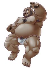 2023 anthro asian_clothing bear beard belly big_belly brown_body bulge clothing east_asian_clothing facial_hair fundoshi hi_res humanoid_hands japanese_clothing kemono kumagaya_shin love_mechanic male mammal mature_male moobs moustache nipples overweight overweight_male simple_background solo tom_(lm) underwear white_background white_clothing white_fundoshi white_underwear