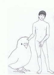 parakeet paul_mccartney tagme the_beatles