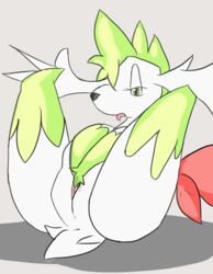 animated anus female feral grey_background half-closed_eyes lying masturbation nintendo on_back open_mouth pcred566 plain_background pokemon pokemon_(species) pussy rubbing shaymin solo spread_legs spreading tongue tongue_out video_games