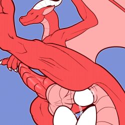 1:1 1boy anal anal_egg_laying balls claws dahurgthedragon dragon egg egg_laying feral genitals hi_res horn knot male male_only membrane_(anatomy) membranous_wings penis red_body red_membrane red_scales red_wings scales scalie simple_background solo white_claws white_horn wings