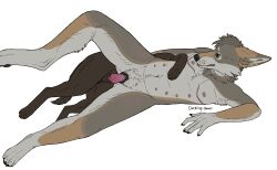 anatomically_correct andromorph animal_genitalia animal_penis animal_pussy anthro anthro_on_feral belly_nipples bird_dog black_nose black_pawpads blep brown_body brown_fur cackling-beast canid canine canine_genitalia canine_penis canine_pussy canis clitoris coyote cuntboy daydream_(cackling-beast) domestic_dog duo enlarged_clitoris feral fur genitals green_eyes grey_body grey_fur hi_res hunting_dog intersex intersex/male labrador lying male male/male mammal mastectomy_scar on_side orange_body orange_fur pawpads penis pivoted_ears pussy raised_leg retriever scar self_harm_scars tongue tongue_out vaginal_penetration zoophilia