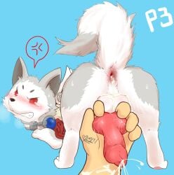 absurd_res ambiguous_gender angry animal_genitalia animal_penis anus ass atlus balls blue_background blush bodily_fluids canid canine canine_genitalia canine_penis canis censored cum cum_in_ass cum_inside cum_on_arm cum_on_balls digitigrade domestic_dog duo ejaculation erection feral fur genital_fluids genitals grey_body grey_fur hi_res human human_on_feral interspecies knot knot_grab koromaru koromaru_(persona_3) leaking_cum looking_back male male/ambiguous male_on_human mammal megami_tensei megami_tensei_persona namoke penis penis_backwards penis_grab quadruped raised_tail rear_view red_eyes scribble_censorship sega shiba_inu simple_background spitz tail tears zoophilia