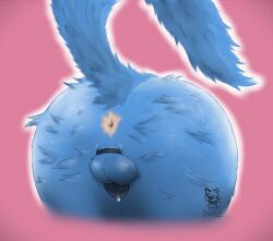 anthro anus ass ass_up blue_body blue_fur bodily_fluids butt_focus butt_tuft chastity_cage chastity_device dripping fluffy fur genital_fluids hi_res male precum precum_drip solo teasnapple tuft