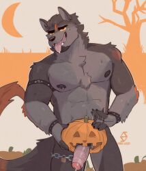 1boy 2023 angel_lazzu anthro balls barazoku canid canine canis erection fucking_pumpkin fur furry gay hairy halloween hi_res highres holidays humanoid_genitalia humanoid_penis jack-o'-lantern jack_o'_lantern looking_at_viewer male male_focus male_nipples male_only mammal manly muscular_anthro nipples penis precum precum_drip pumpkin pumpkin_masturbation solo solo_male werecanid werecanine werewolf wolf