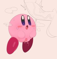 1boy1girl abnarie cute kirby kirby_(series) nintendo penis pink pink_pussy plump_labia pussy rule_63 video_games videogames waddling_head