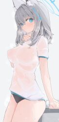 1girl 1girls abydos_high_school_logo_(blue_archive) abydos_high_school_student blue_archive blue_eyes blush blush_lines foreclosure_task_force_(blue_archive) heterochromatic_pupils long_hair looking_at_viewer mikozin shiroko_(blue_archive) silver_hair tagme tagme_(artist) wet wet_clothes wet_clothing white_pupil white_shirt wolf_ears wolf_girl