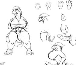 anthro avian balls bess-a bess_project bigshow breasts erection furry genitals herm hi_res intersex light-skinned_male model_sheet monochrome multiple_angles penis solo thunder_bird_(disambiguation)