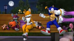 3d amy_rose amy_rose_the_werehog chip_(sonic) cobaltapple sonic_(series) sonic_the_hedgehog sonic_the_hedgehog_(series) tails