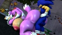 amy_rose amy_rose_the_werehog cobaltapple doggy_style fuckgirl furry large_breasts large_penis sex sonic_(series) sonic_the_hedgehog vaginal_penetration werehog