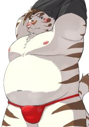 2023 9dtq0 absurd_res anthro asian_clothing belly big_belly blush clothing east_asian_clothing felid fundoshi hi_res japanese_clothing kemono licho_(tas) lifewonders male mammal moobs nipples overweight overweight_male pantherine red_clothing red_fundoshi red_underwear simple_background solo tiger tokyo_afterschool_summoners underwear undressing white_background white_body