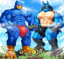 absurd_res anthro avian big_bulge bird blue_body blue_fur bulge canid canine city clothing cloud destruction detailed_bulge digitigrade duo explosion falco_lombardi fur generation_4_pokemon genital_outline genitals hi_res huge_bulge landscape_dwarfing lucario macro male mammal mayar muscular muscular_anthro muscular_male nintendo nipples pecs pokemon pokemon_(species) smile smoke speedo spines star_fox stomping swimwear tail