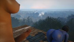 sole survivor from fallout