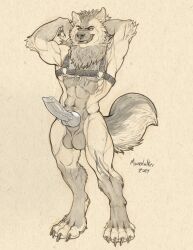 abs animal_genitalia animal_penis balls body_harness canid canine canine_genitalia canine_penis canis erection fangs genitals harness hi_res knot male male_only mammal muscular muscular_male penis richard_foley scar sharp_teeth solo teeth wolf