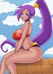 1girls big_breasts bikini bikini_bottom bikini_top blue_eyes bottomwear breasts cleavage ear_piercing earrings female female_only gummslime hair huge_breasts pointy_ears purple_hair shantae shantae_(character) side_boob side_ponytail side_view sideboob smile solo solo_female strapless_bikini swimwear thighs topwear