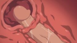 1boy 1girls animated cervical_penetration cross_section cum cum_in_pussy cum_in_uterus cum_inside deep_penetration female gif impregnation_risk internal_view male_penetrating_female penis_in_uterus penis_in_womb x-ray