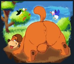 1boy 2d_animation animated anthro ass back_view balls bird bouncing_balls bouncing_butt canid canine detailed_background domestic_dog duck_hunt duck_hunt_dog feral fur furry furry_only gay inviting inviting_to_sex looking_back male male_only nintendo orokamonodebi presenting presenting_ass tongue tongue_out