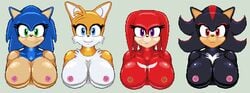 4girls anthro beige_skin bimbo black_fur black_hair black_nose blue_eyes blue_fur blue_hair breasts casetermk closed_mouth color echidna female female_only fox front_view frown fur furry furry_breasts furry_ears green_eyes hair hedgehog hyper_bimbo interspecies knuckles_the_echidna multiple_females multiple_girls nipples open_eyes orange_fur pink_nipples pointy_ears purple_eyes red_eyes red_fur red_hair rule_63 shadow_the_hedgehog smile sonic_(series) sonic_the_hedgehog tails tan_skin