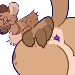 alpha_channel anthro anus ass balls genitals guncht hyena male mammal presenting presenting_anus presenting_hindquarters simple_background solo spotted_hyena telegram_sticker transparent_background