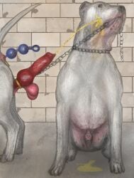 anal anal_beads anal_beads_in_ass anal_sex anatomically_correct anatomically_correct_genitalia anatomically_correct_penis animal_genitalia animal_only animal_penis anus balls bodily_fluids canid canine canine_genitalia canine_penis canis cock_and_ball_torture darkmare dogo_argentino domestic_dog duo eunuch feral feral_on_feral genital_fluids genital_torture genitals male male/male mammal mastiff molosser object_in_ass peeing peeing_on_another penetration penis penis_tip pink_balls sex_toy sex_toy_in_ass sex_toy_insertion sheath tail urine urine_on_face urine_pool watersports