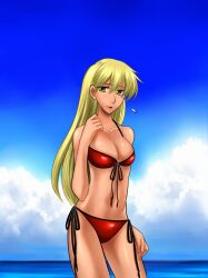 1girls 74 7774 alternate_costume bikini blonde_hair blush breasts cleavage cloud dark_skin female female female_only fire_emblem fire_emblem:_the_binding_blade front-tie_bikini_top front-tie_top igrene_(fire_emblem) large_breasts long_hair looking_at_viewer navel nintendo ocean outdoors red_bikini red_swimsuit side-tie_bikini_bottom solo swimsuit water yellow_eyes