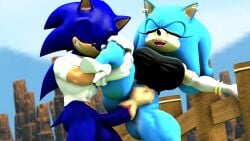 1boy 1girl 1girls 3d 3d_(artwork) female male male/female nackey orgasm orgasm_face rule_63 selfcest sex sonic_(series) sonic_the_hedgehog sonique_the_hedgehog tagme