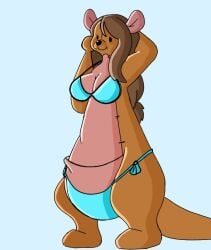 female kanga kangaroo pooh poohwinnie winnie_the_pooh_(franchise)