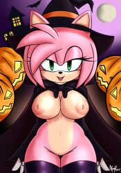 1girls amy_rose big_breasts breasts cape female furry halloween house inverted_nipples jack-o'-lantern large_breasts moon night pumpkin sega sonic_(series) stockings thigh_gap thighhighs witch_hat xenrevv