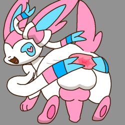 1boy 2023 canine canine_genitalia canine_penis eeveelution generation_6_pokemon grey_background heart-shaped_pupils komatosse long_ears long_tail male male_only penis pezi pink_fur plain_background pokémon_(species) pokemon pokemon_xy presenting presenting_anus presenting_penis ribbon self_upload simple_background stretched_anus sylveon white_fur