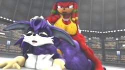 2futas 3d 3d_(artwork) anthro big_the_cat boxing_ring furry futa_on_futa futanari knora_the_echidna knuckles_the_echidna nackey rule_63 size_difference sonic_(series)