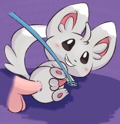 anal balls blush cum furry gay grin hi_res looking_at_viewer male minccino mincheeto penis pokémon_(species) pokemon pokemon_(species) semi-anthro tagme tail