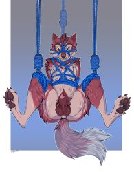 absurd_res animal_genitalia anthro belly bondage bondage bound canid canine canis chudlight genitals hi_res jackal looking_at_viewer male mammal paws pudgical restraints rope rope_bondage rope_harness sheath slightly_chubby solo