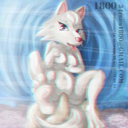 1800 3d 3d_anaglyph anaglyph animal_crossing anthro blue_eyes breasts canine duo female looking_at_viewer male mammal medium_breasts nintendo nipples nude paws pussy straight_hair tongue tongue_out uncensored vaginal_penetration white_fur whitney_(animal_crossing) wolf