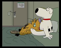 angry_beavers anthro beaver brian_griffin crossover dog family_guy fellatio gay interspecies johnofe male male_only norbert tagme