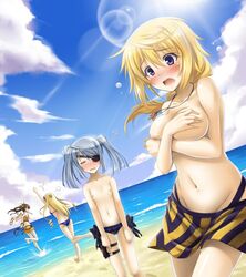 breasts cecilia_alcott charlotte_dunois fang_lin_yin huang_lingyin infinite_stratos laura_bodewig small_breasts thigh_gap