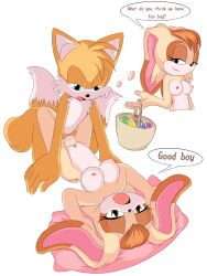 easter easter_egg fox furry good_boy j_nsfw penetration rabbit sonic_(series) sonic_the_hedgehog_(series) tails tails_the_fox vaginal_penetration vanilla_the_rabbit