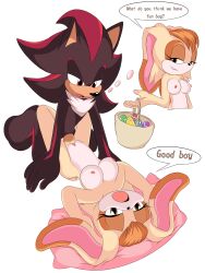 furry j_nsfw male/female rabbit shadow_the_hedgehog sonic_(series) sonic_the_hedgehog_(series) straight vanilla_the_rabbit