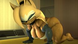 1girls 3d 3d_(artwork) female notsoanonsfm sonic_(series) sonic_the_hedgehog_(comics) sonic_the_hedgehog_(idw) sonic_the_hedgehog_(series) tagme whisper_the_wolf