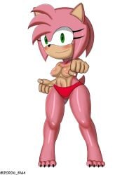 1girls amy_rose barefoot breasts feet female fighting_stance furry green_eyes medium_breasts panties pink_fur sega smile sonic_(series) topless_female underwear yiff zoron_b164