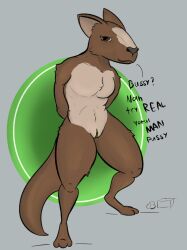 andromorph anthro brick_(artist) brown_eyes cuntboy dialogue english_text genitals hi_res intersex looking_at_viewer mammal marsupial pussy solo talking_to_viewer text the_nature_of_predators yotul_(the_nature_of_predators)