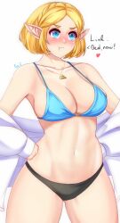 Zelda (Tears Of The Kingdom) Rule 34 Image