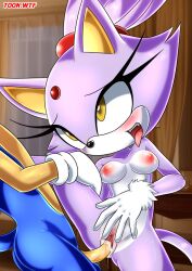 blaze the cat from sega by bbmbbf