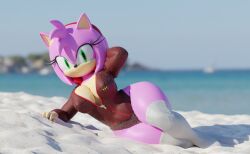 amy_rose female_only rileyfoxxo sega sonic_(series) sonic_the_hedgehog_(series)