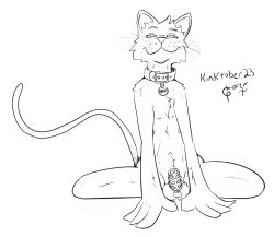 chastity_cage chastity_device collar felid feline girly kinktober mammal penis toggle_(artist)