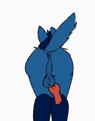 2023 animal_genitalia animal_penis animated anthro anus ass backsack balls biped blue_anus blue_body blue_fur blue_hair canid canine_genitalia canine_penis erection flat_colors frame_by_frame fur furry generation_4_pokemon genitals hair hi_res knot leg_markings looking_at_viewer loop lucario male mammal markings night_(night_bandit) nintendo penis perineum phol pink_penis pokemon pokemon_(species) presenting presenting_anus purple_eyes rear_view shaded short_playtime simple_background simple_eyes simple_shading socks_(marking) solo swinging swinging_penis tail tail_tuft three-quarter_view tuft white_background y_anus