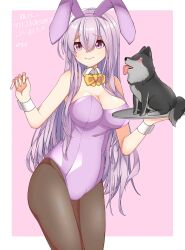 1girls alternate_costume animal_ears breasts bunny_ears bunny_girl bunnysuit cleavage commission dog female female_only fire_emblem fire_emblem:_genealogy_of_the_holy_war julia_(fire_emblem) large_breasts long_hair mikeaoi1 nintendo pantyhose plate playboy_bunny purple_eyes purple_hair rabbit_ears simple_background skeb_commission wrist_cuffs