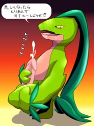 color cum green_skin grovyle japanese_text male male_only masturbation nude penis pokémon_(species) pokemon side_view solo tagme text yuppie