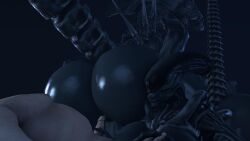 1boy 2girls 3d alien alien_(franchise) assisted_penetration big_breasts hand_holding hand_on_penis holding_hands huge_ass huge_breasts imminent_penetration imminent_reverse_cowgirl_position imminent_sex imminent_threesome larger_female larger_female_smaller_male looking_back male_human/female_alien on_back overweight_male rayhuma size_difference smaller_male xenomorph xenomorph_queen