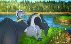 absurd_res character_request copyright_request dam day detailed_background dragon feet female feral hi_res lake lying mature_female on_front outside relaxing river scalie solo tempest_the_reaper waterdragon whaletail wings