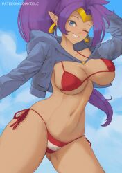 1girls big_breasts bikini bikini_bottom bikini_top blue_eyes bottomwear breasts cleavage ear_piercing earrings female female_only hips hoop_earrings huge_breasts one_eye_closed pointy_ears ponytail purple_hair red_bikini shantae shantae_(character) solo solo_female striped_bikini swimwear thighs topwear wink winking zelc-face